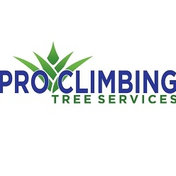 Pro Climbing Tree Services