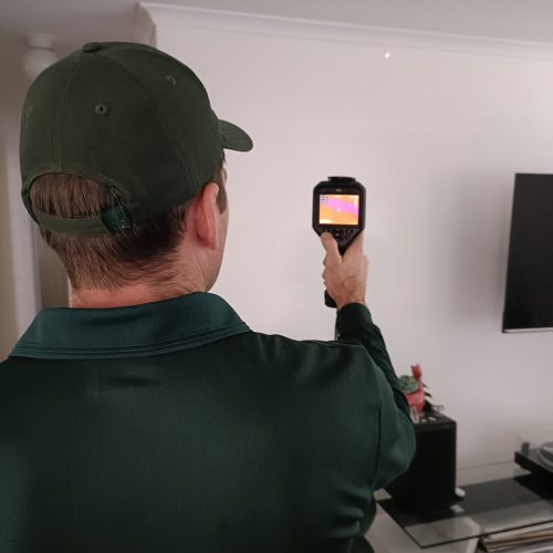 Termite Control Expert